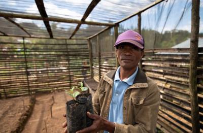 Organic Timor-Leste Ermera Letefoho